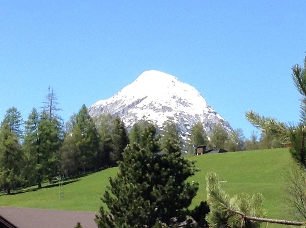 Hotel Garni Almhof Seefeld in Tirol Exteriör bild